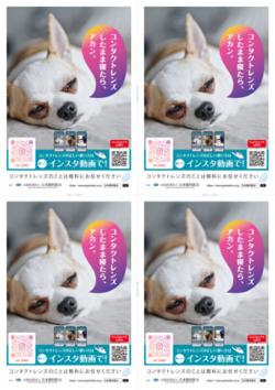 CLleaflet.png